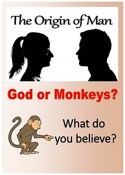 God_or_Monkeys